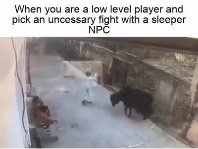 I came looking for some loot, all I got is yeet