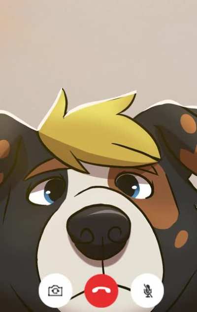 Facetime_irl