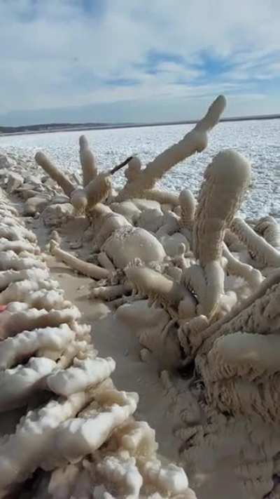 **Huge** Ice dicks in the daytime (Oc)