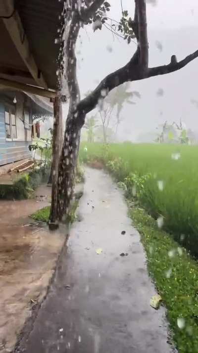 narrow village path, rain falling softly &mdash; peace you can feel 🍃😌