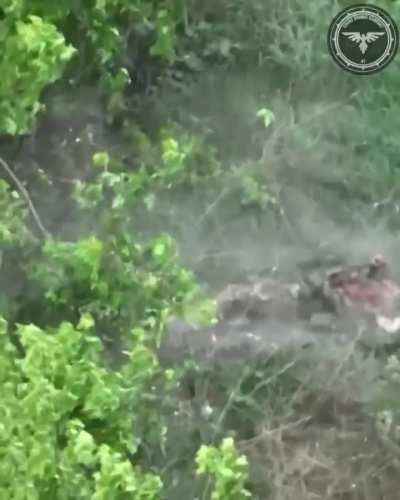 Another Russian suicide. Near avdiivka, unsure on the date and if it&rsquo;s a repost.