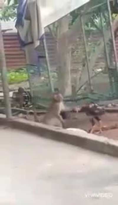 4 mim sem perder amizade