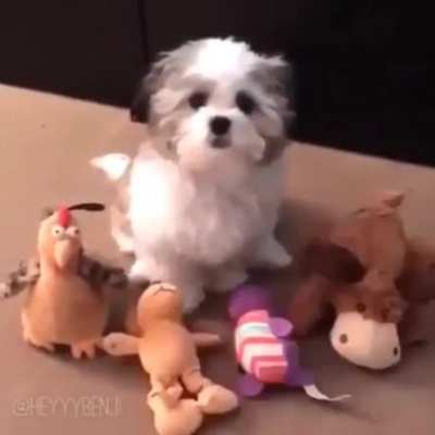 Who's your best friend?