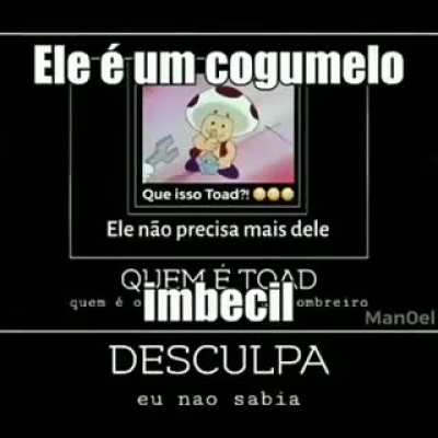 COGUMELO IMBECIL