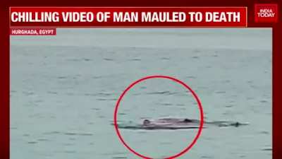 Shark eats Russian tourist in front of his father at Egyptian beach