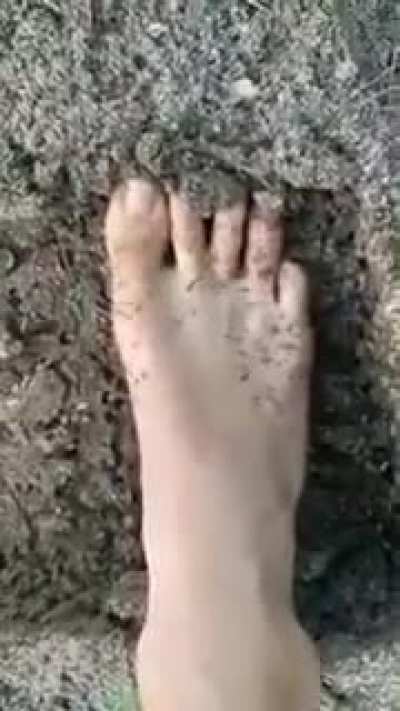 Low-budget nano tech