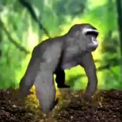 monke