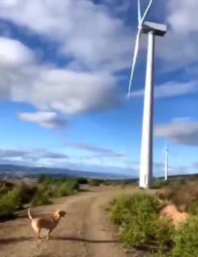Hey! I can do that too!