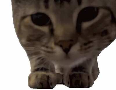 My last look at you people before we begone