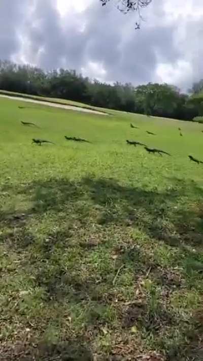They looked busy