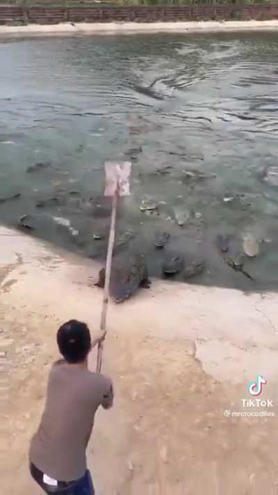 aaaaaaaah