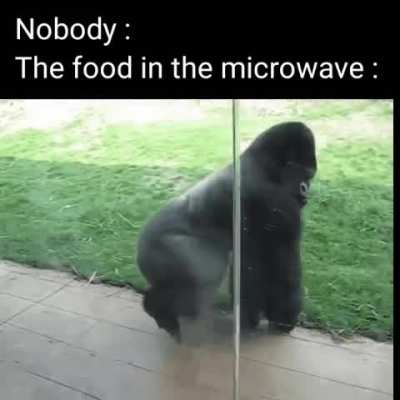 lOl