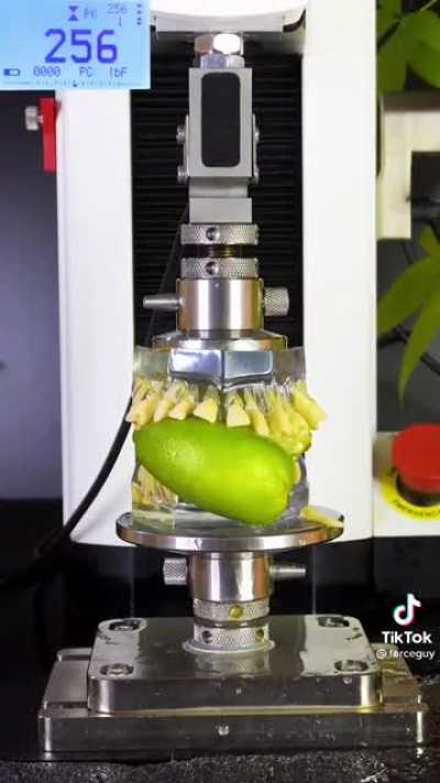 This is what would happen if you ate fruits as a whole instead of in small bites.