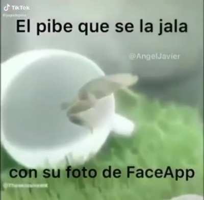Re yo amigo 👌🏼