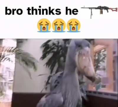 Burd