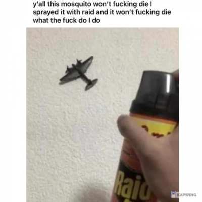 rule