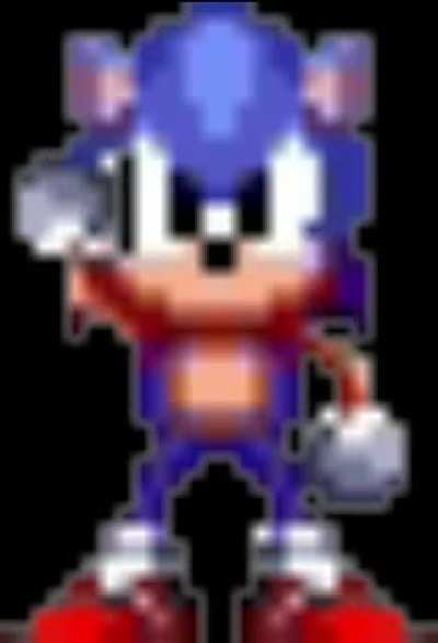 EL SONICERO