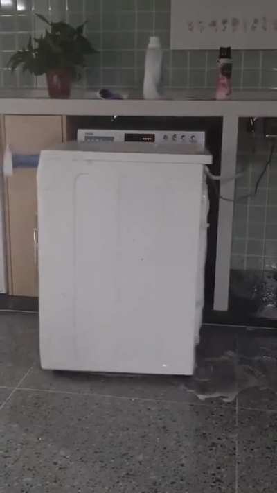 Is this how washing machines mate? Do they orgasm backwards?