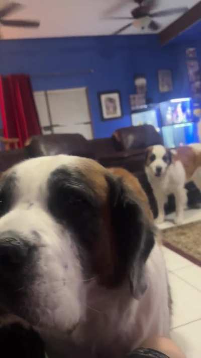 Relaxing Thursday night with my babies