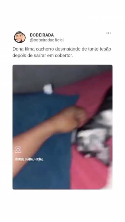 Famoso Goza e Dorme 