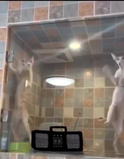 hmmm