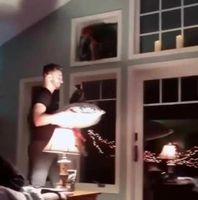 The only way to properly move a cat