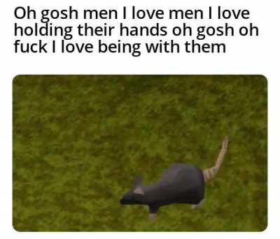 -Ron, The Almighty Rat King