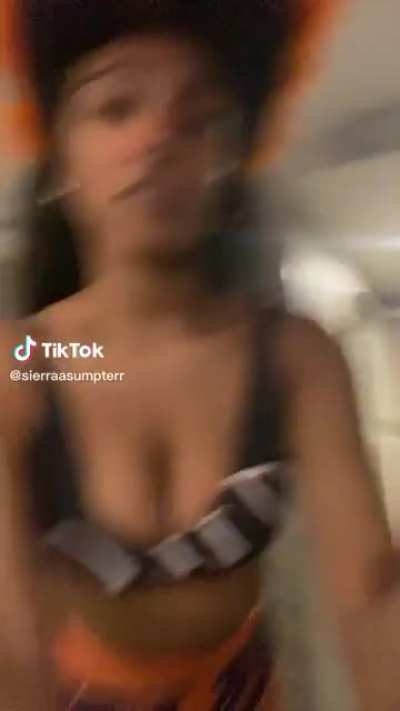 Sierraasumpterr