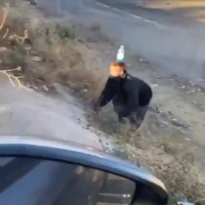 🦍🦍🦍
