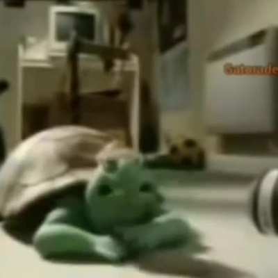 Que