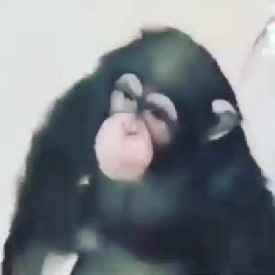 Monke in the bathroom