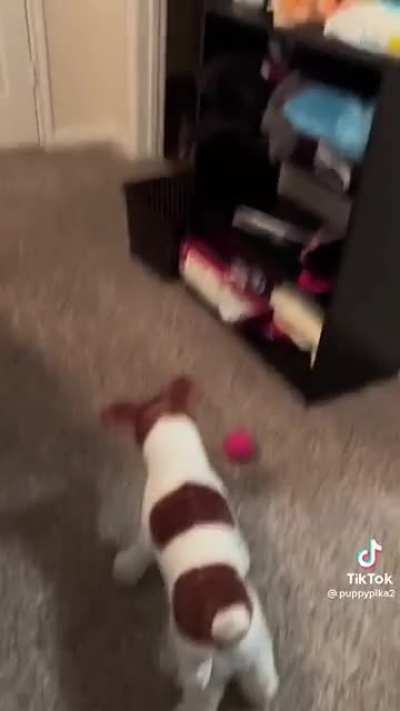Mom! What is that thing doing in my room?!