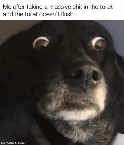 Can anyone else relate or is it just me