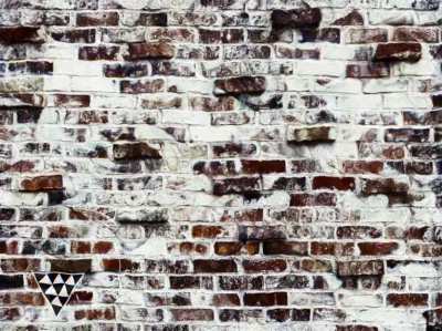 The wall is dancing!
