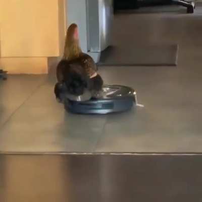 They see me rollin'