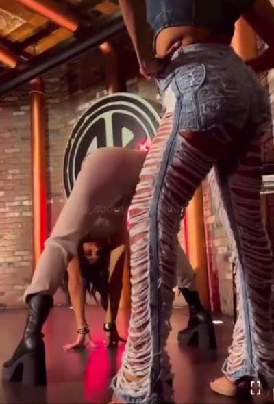 The Bella Twins