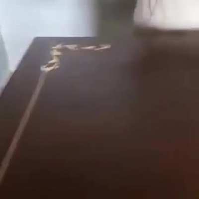 Thought it would fit here.
