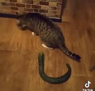 Огурец