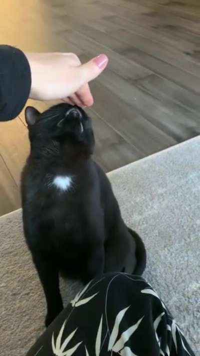 Don&rsquo;t touch my head please. No thank you.