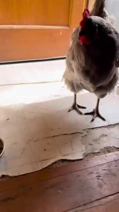 Maybe Maybe Maybe