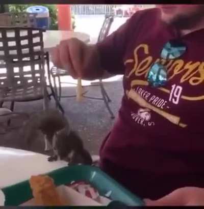 Should have never teased the squirrel.
