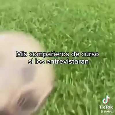Sep... igualitos