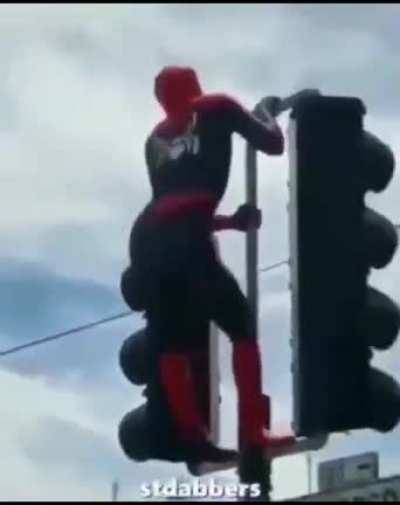 spooder