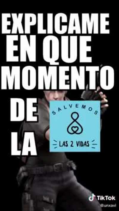 Perro vegano
