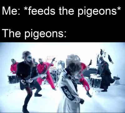 They&rsquo;re groovin