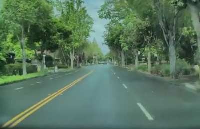 [oc] what’s a little right of way between friends?