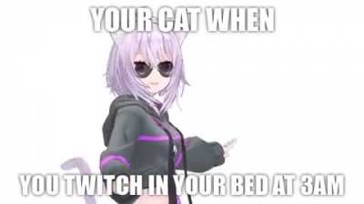Your cat when you twitch in your bed at 3AM