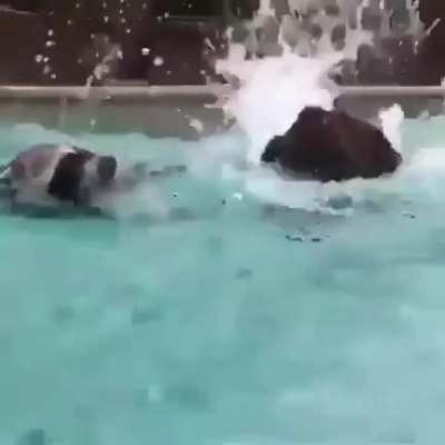 When you go to the pool with your short friend