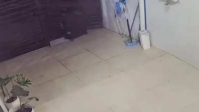 My luggage people need me.