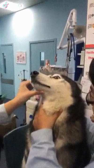 take the medicine